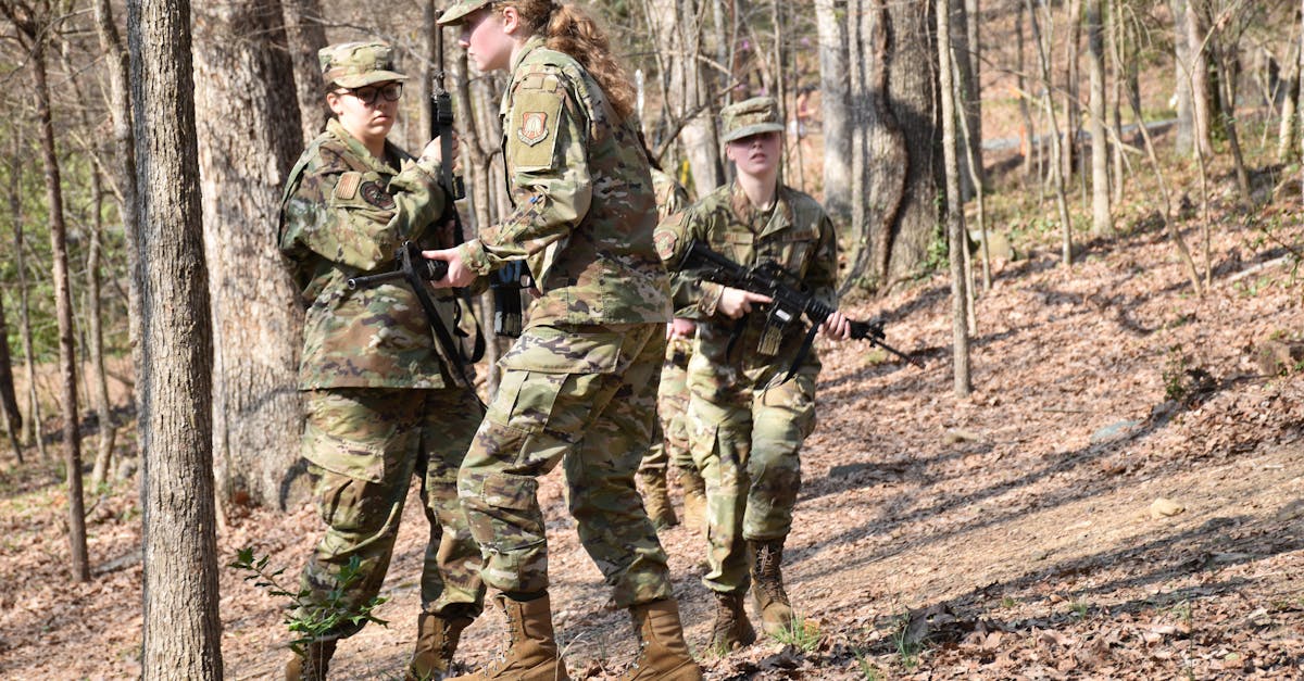 葫芦娃:gta游戏购买平台