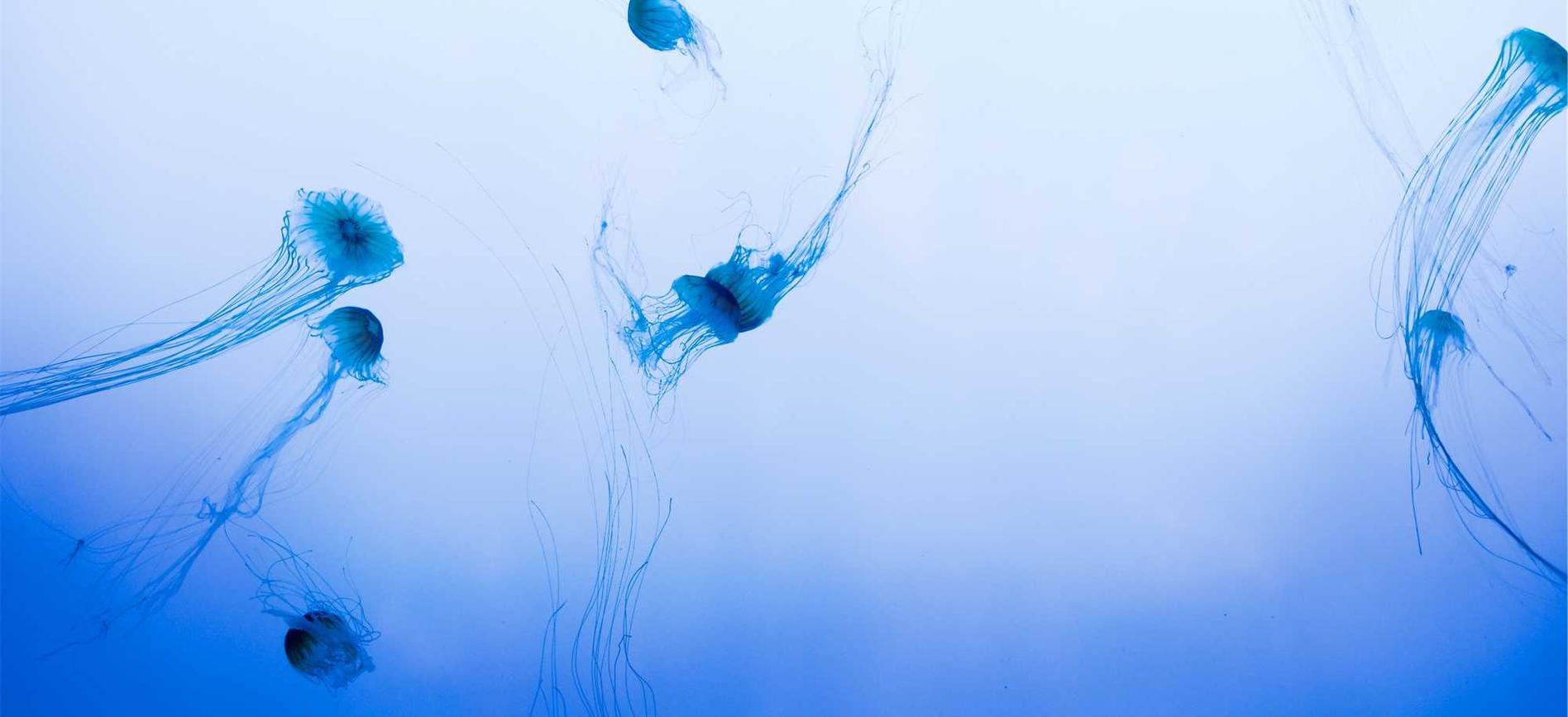 郑州讯捷实名账号:临汾市代理注册