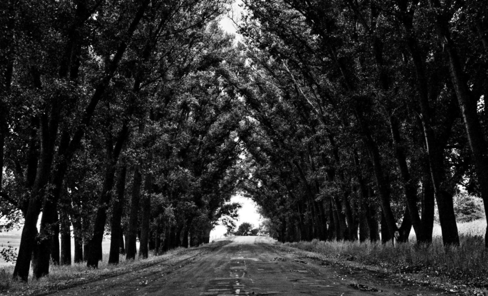 摩臣2娱乐，注册|你今天注册太多账号了吗