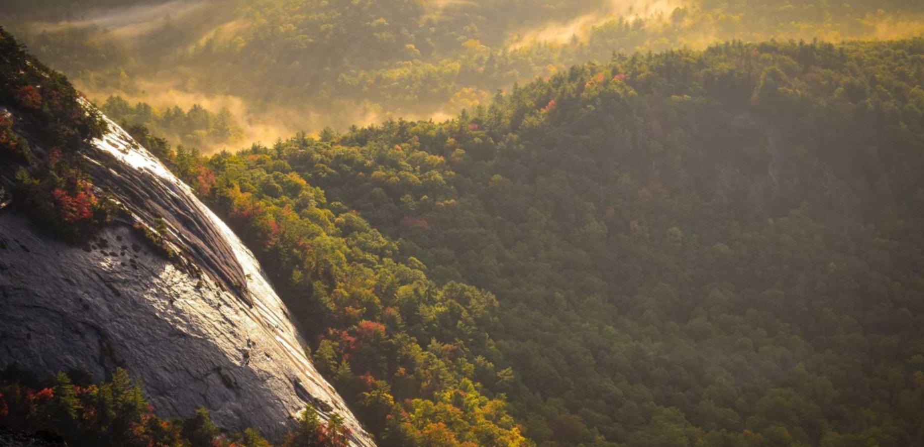 绑卡微信号买卖：成都桃子购买平台