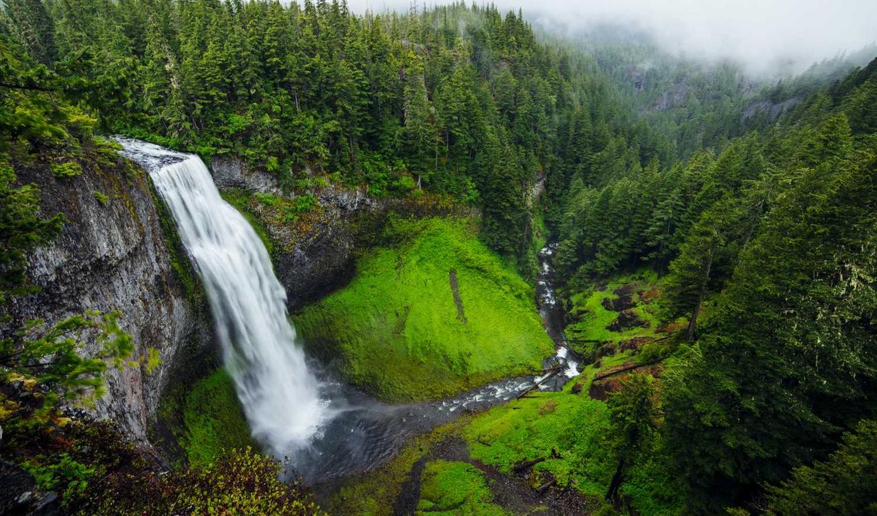 杯莫停：信融花花app详情下载教程
