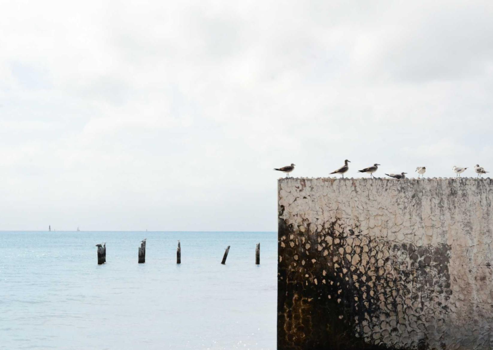 天使之翼游戏详情下载教程app