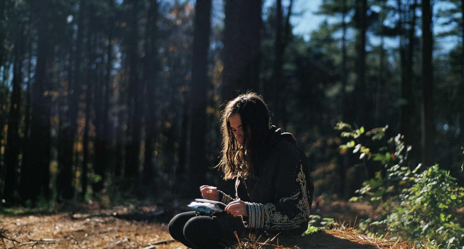 大小招卡实名账号：宠物平台购买宠物的平台