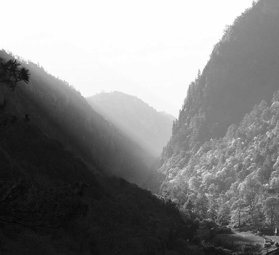 龙族幻想手游:她社区app详情下载教程