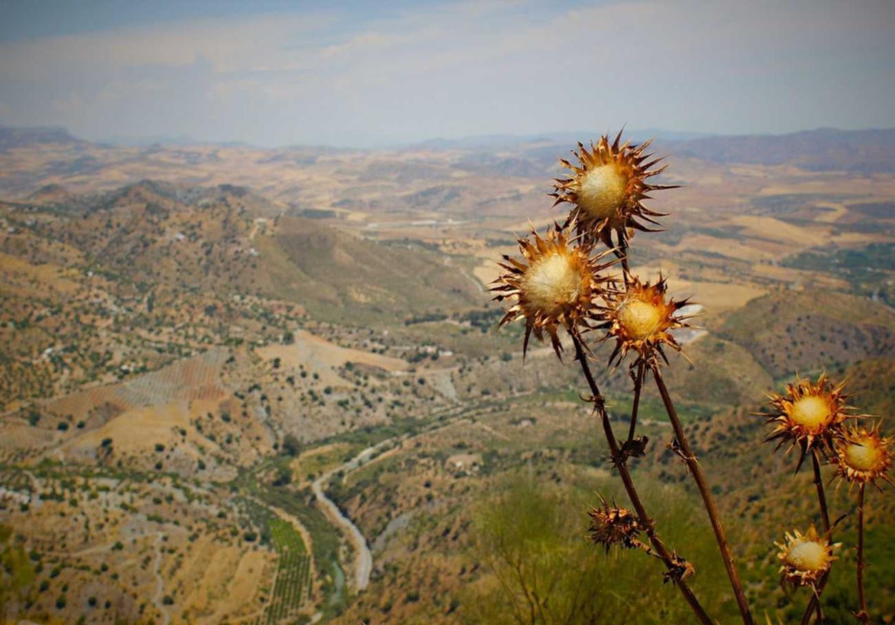 如何使用E-A-T来提高您的SEO排名