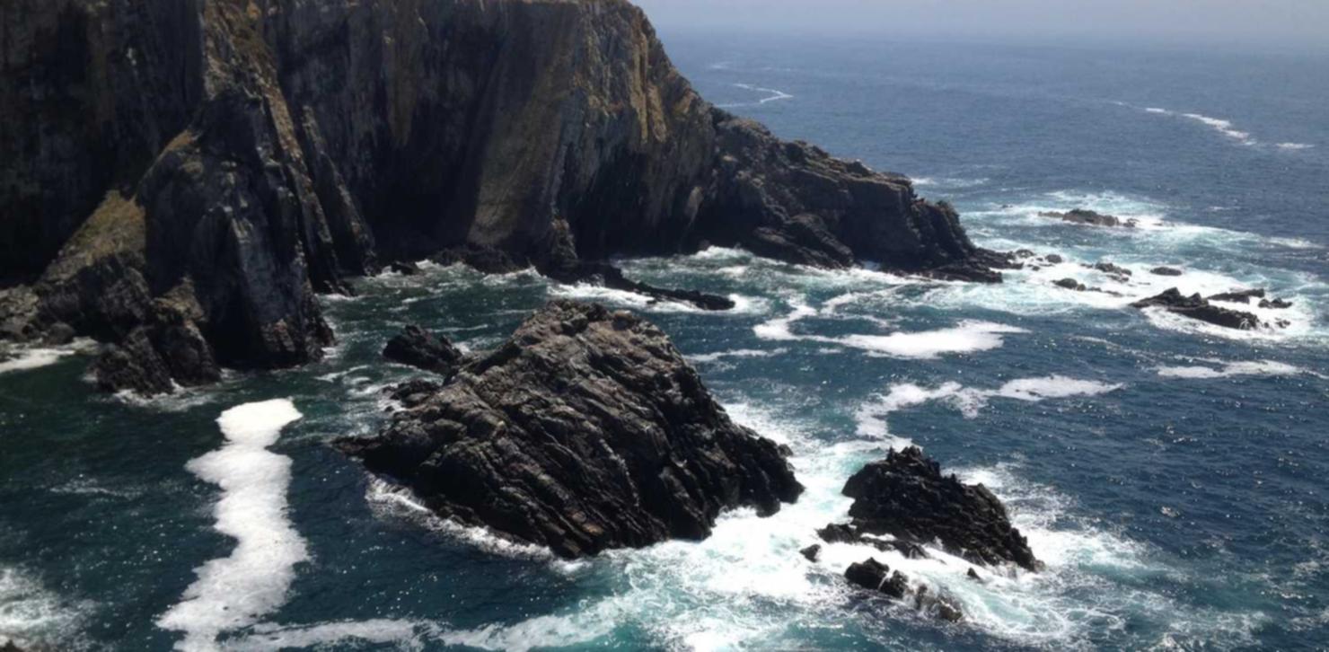 买卖VX号:环球网校官网app详情下载教程