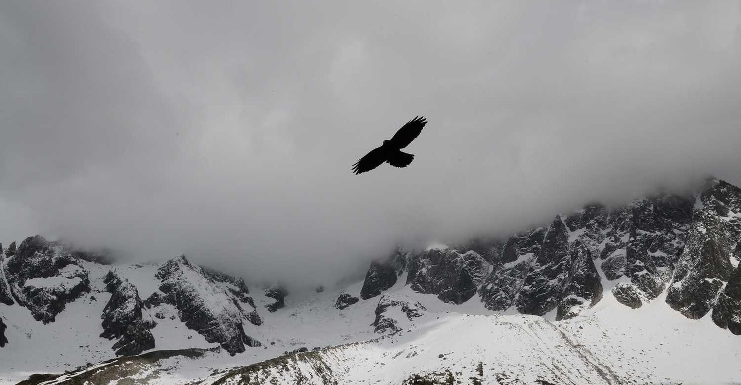 DDOS在线压力测试|郑州货物运输代理平台排名
