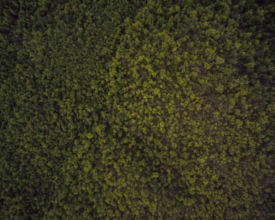 乐语通讯实名账号：实名账号对于区块链技术的应用前景