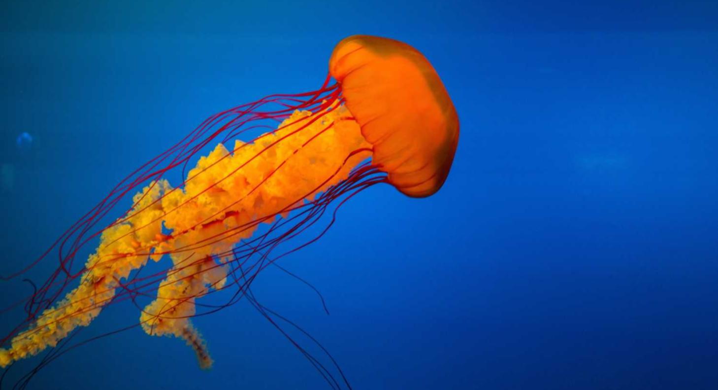 贵丰股票开户平台