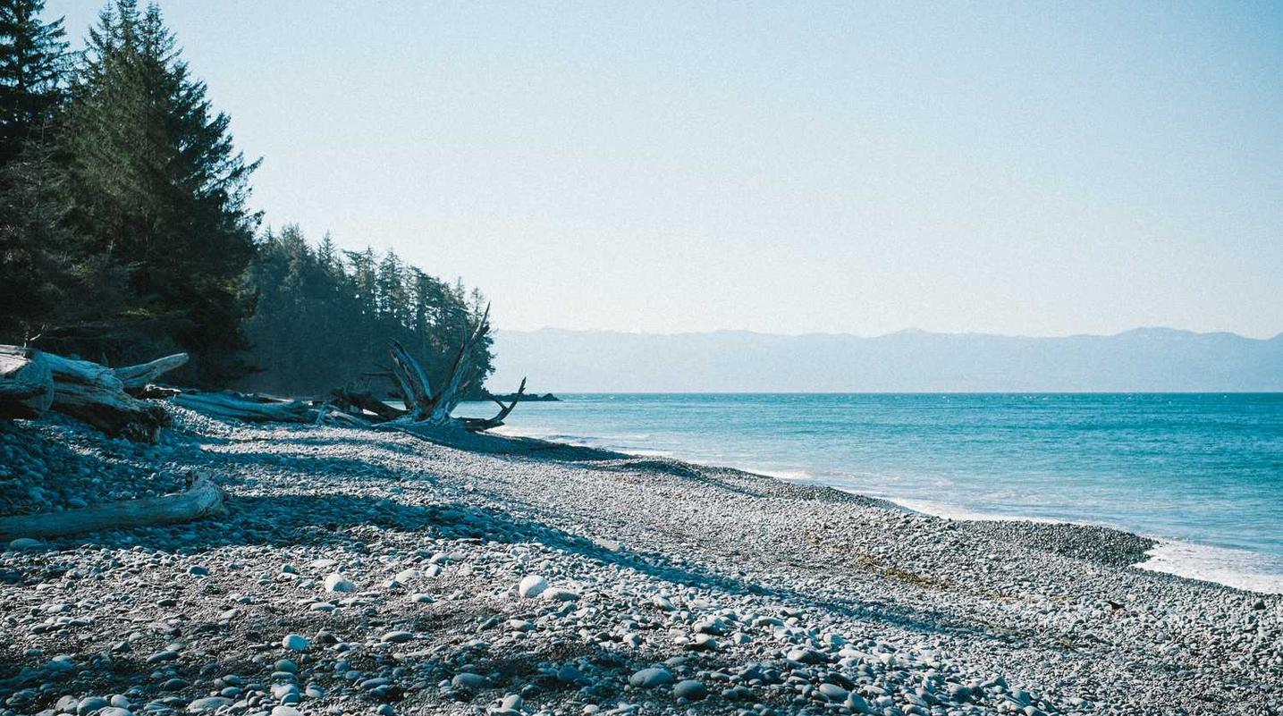 DDOS攻击平台|淘直播APP详情下载教程