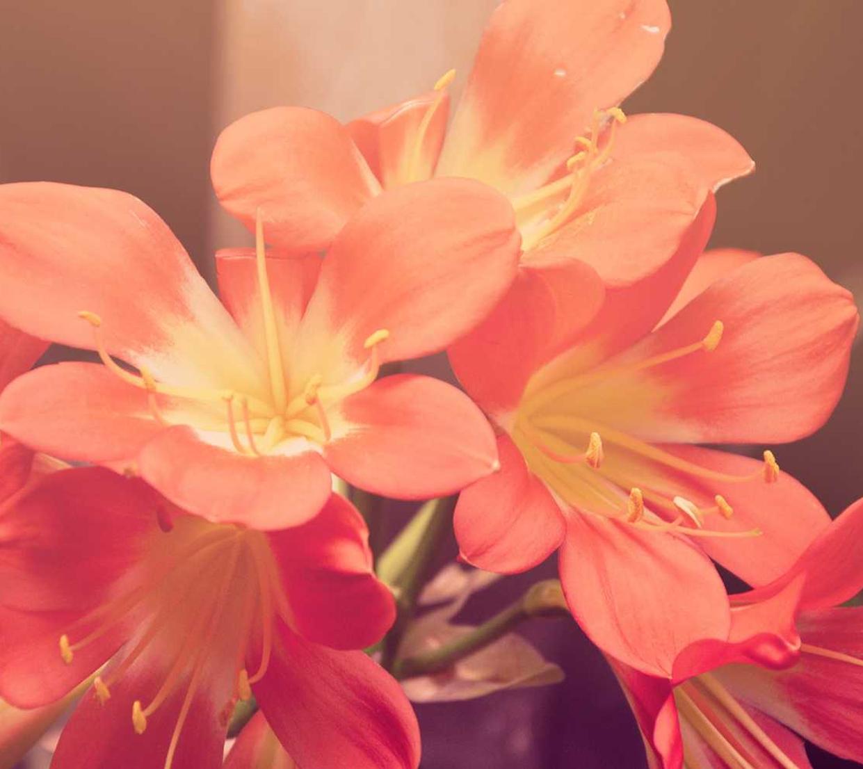 生死狙击：咸阳工商代理注册流程咨询