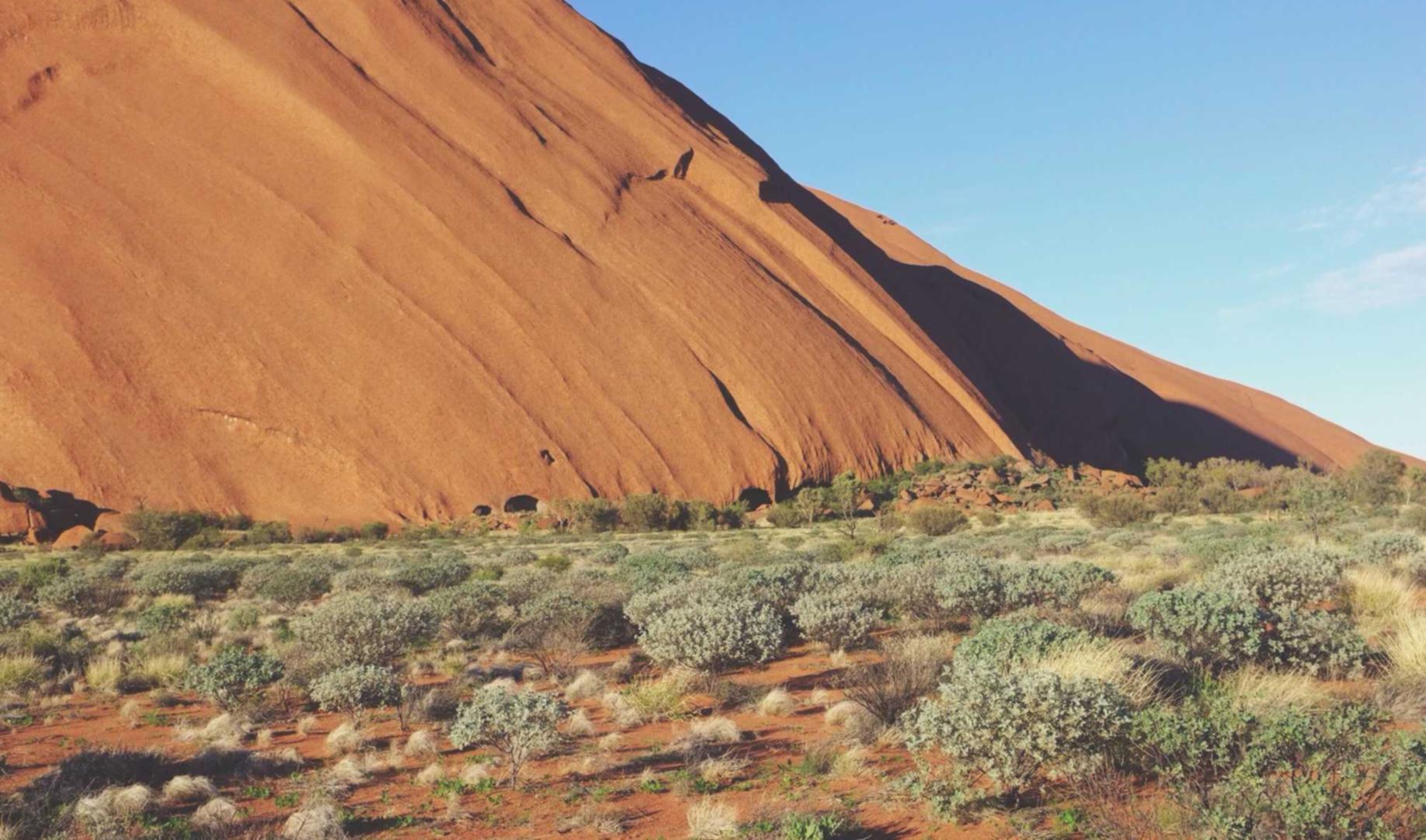 巨像骑士团：嘀嘀打车代理注册