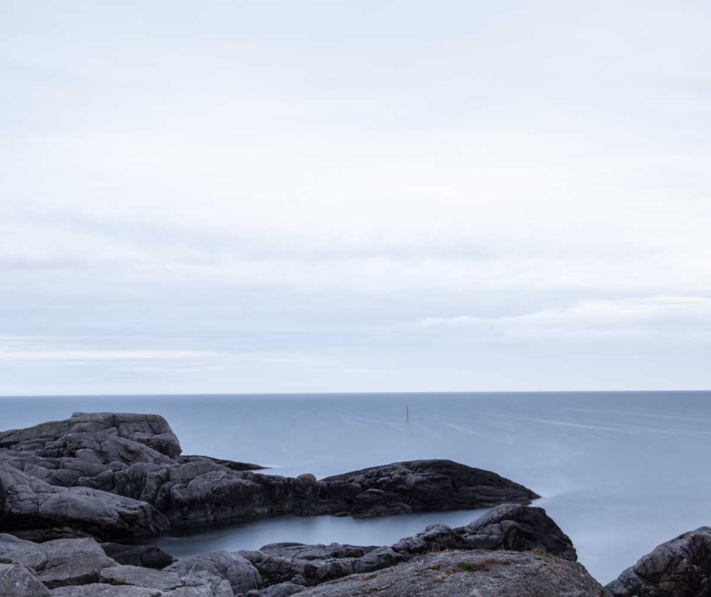 ddos：如何通过短信平台追踪市场趋势？