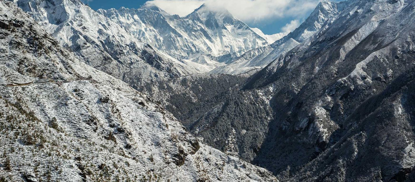 购买正规商标购买平台排行