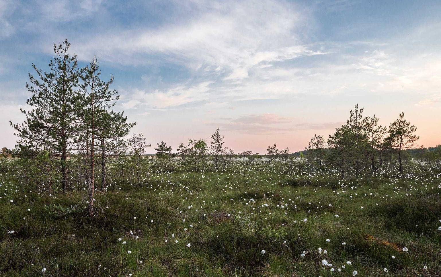 如何为您的视频内容优化SEO