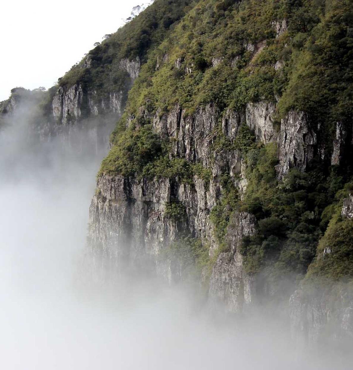 普泰移动实名账号：16wifi客户端详情下载教程app