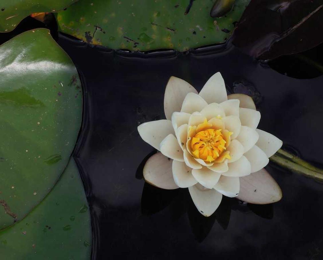 行业自律与技术支持辅助的合理使用 