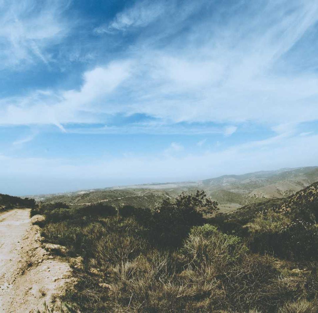 曼切斯特双爆:免费番茄app详情下载教程