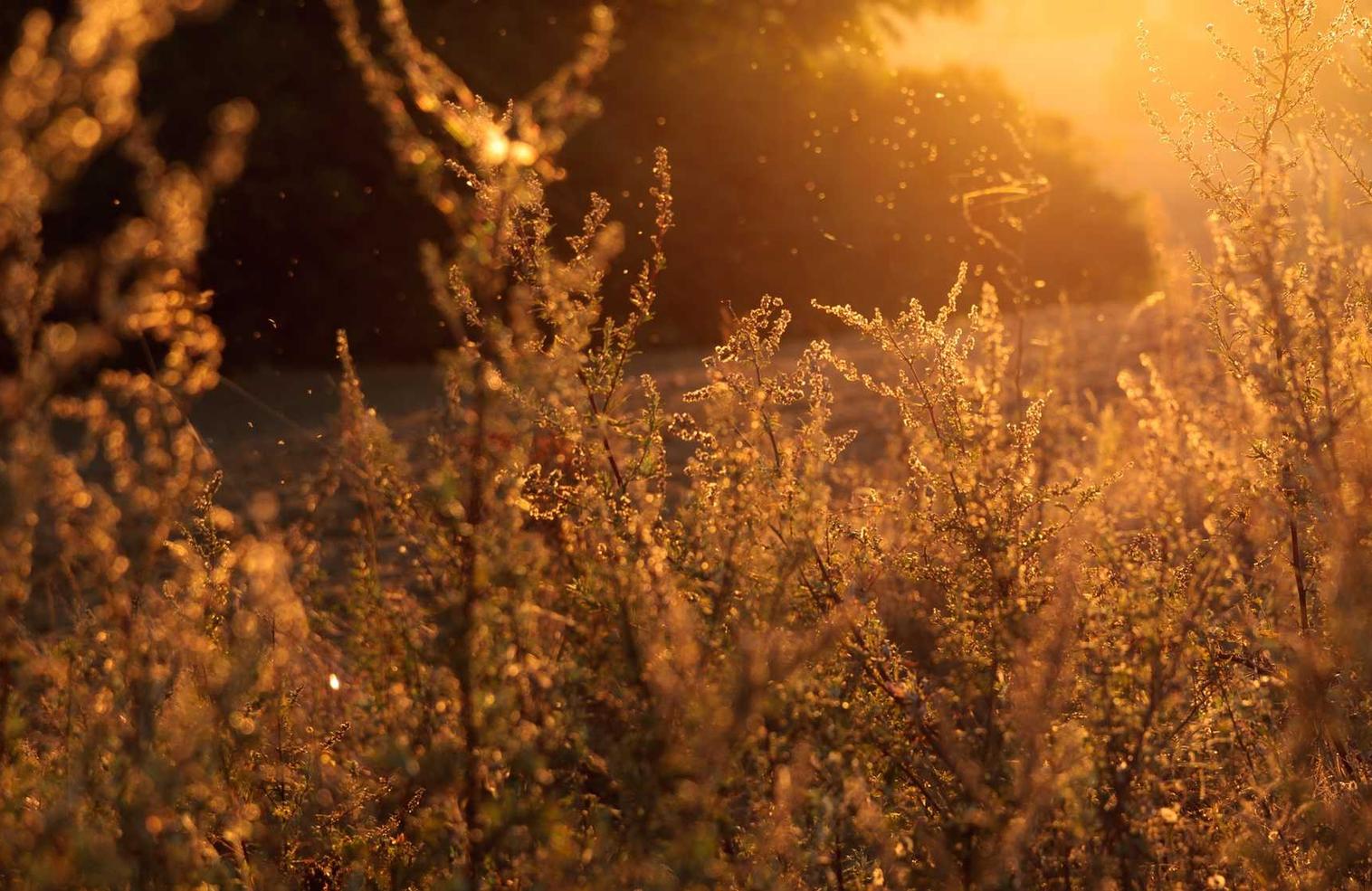三网实名上网卡- 闲鱼号注册多个账号可以吗