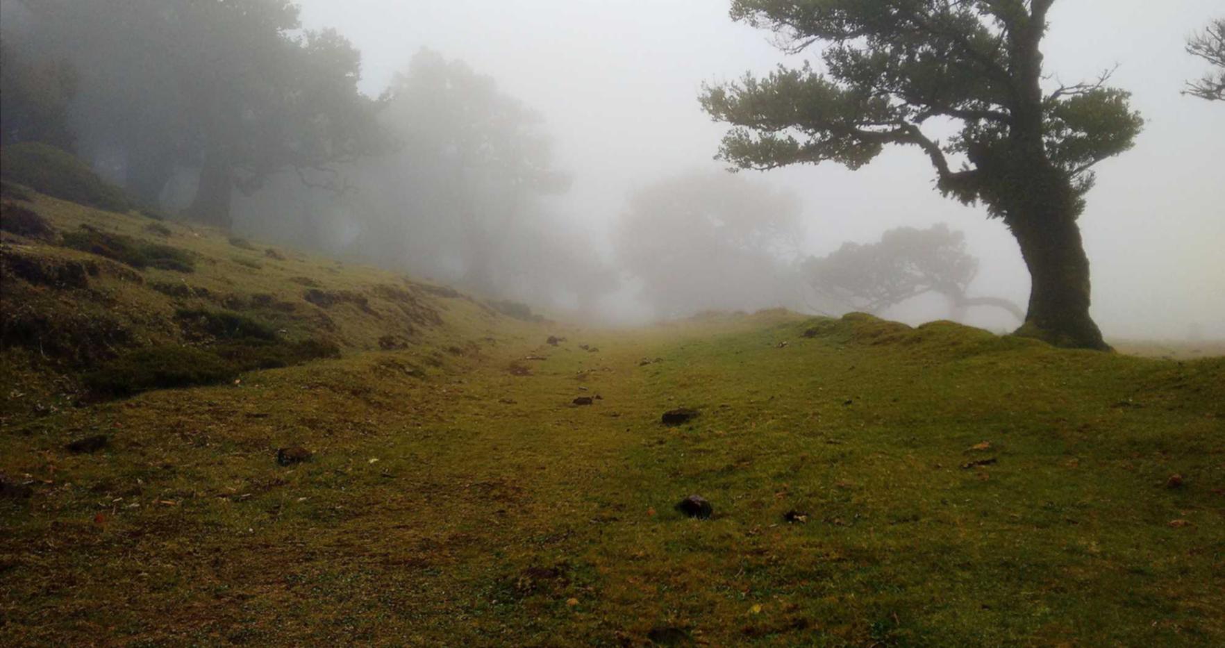 V粉卡实名账号：美发道具购买平台