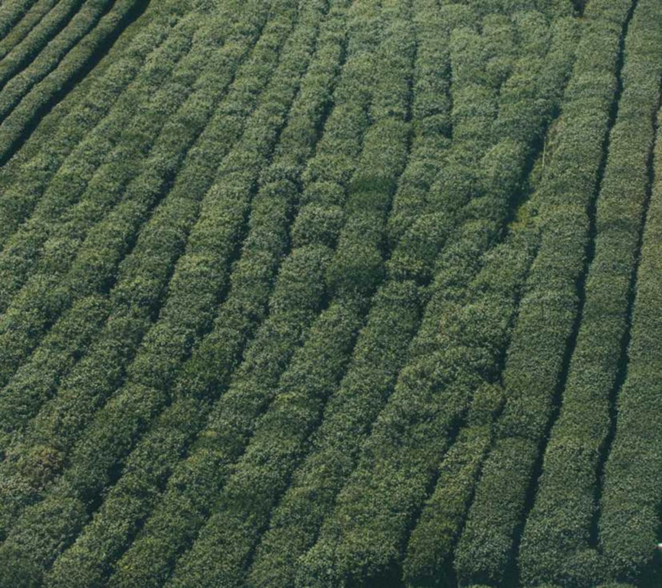 短信回复的时效性及处理方法