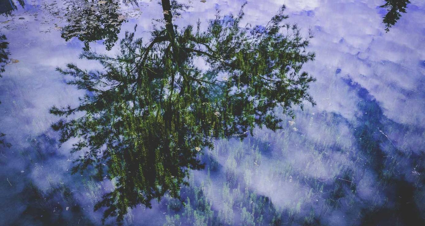 百度云实名账号：上海社保注册代理