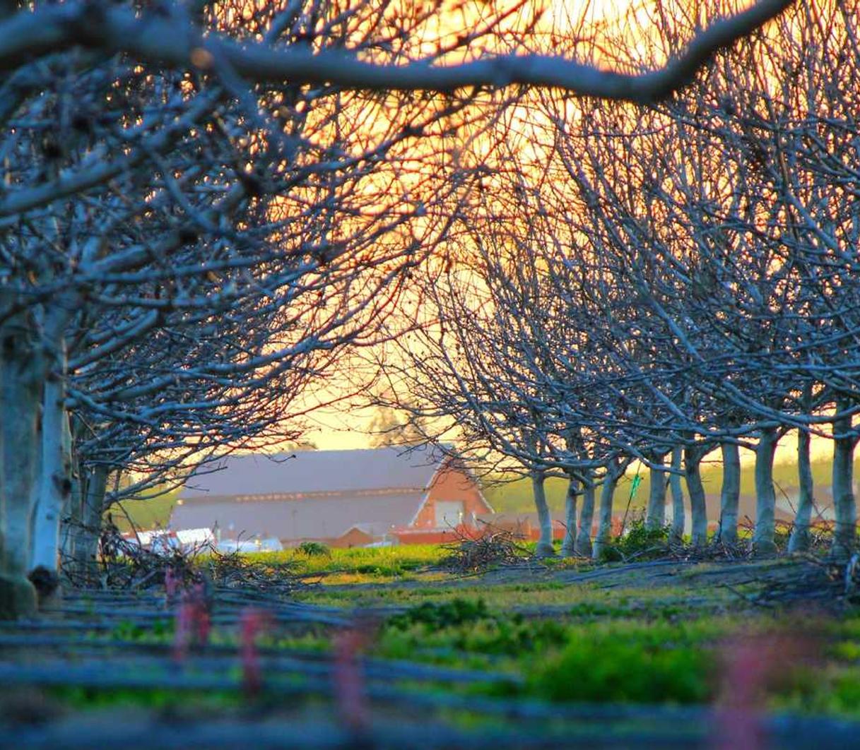 免费攻击网站|天长注册公司代理