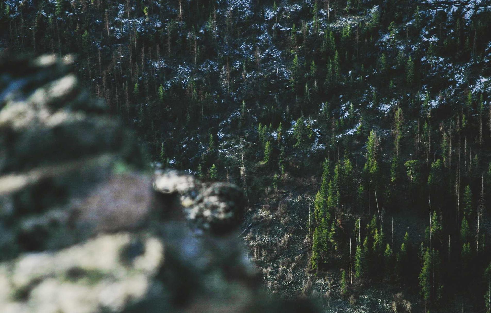 双生视界：大湾区正常注册公司代理费