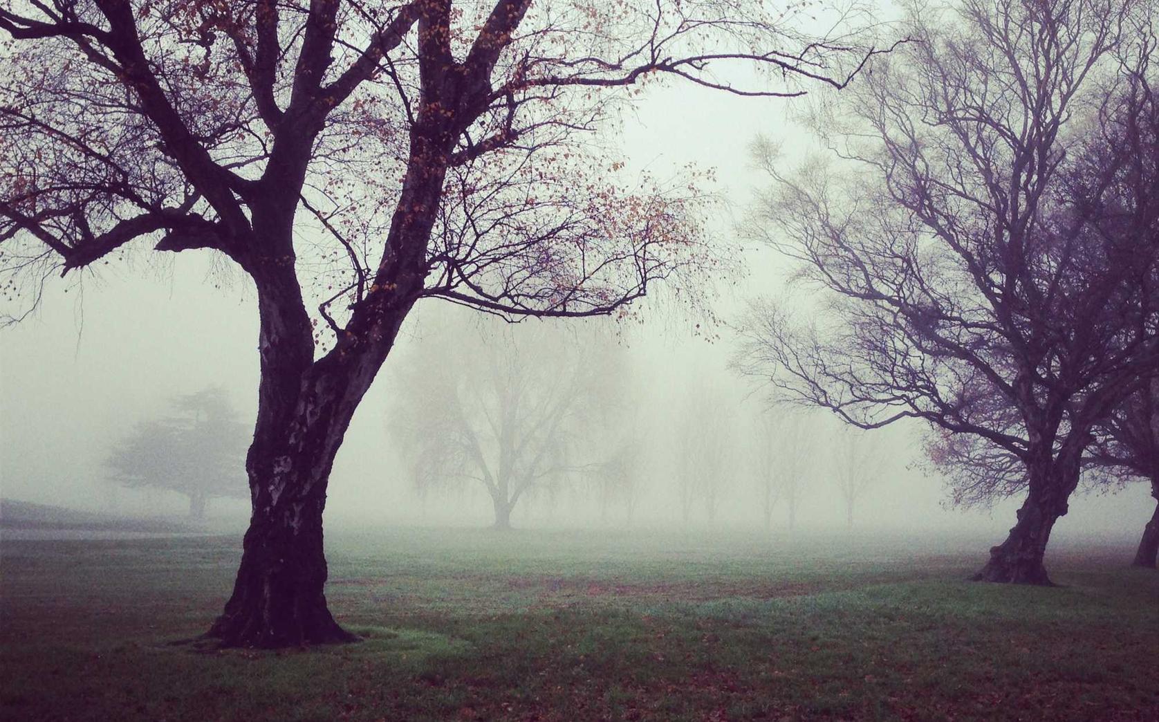 沃派星燃卡实名账号：转让代理注册