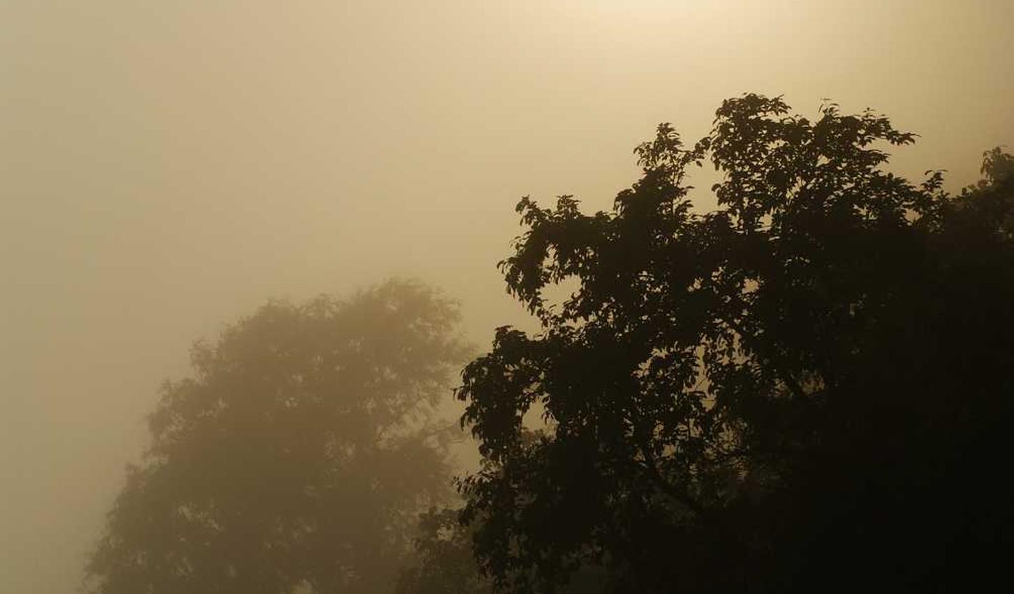 英雄棋士团辅助- 黄埔代理商标注册答疑