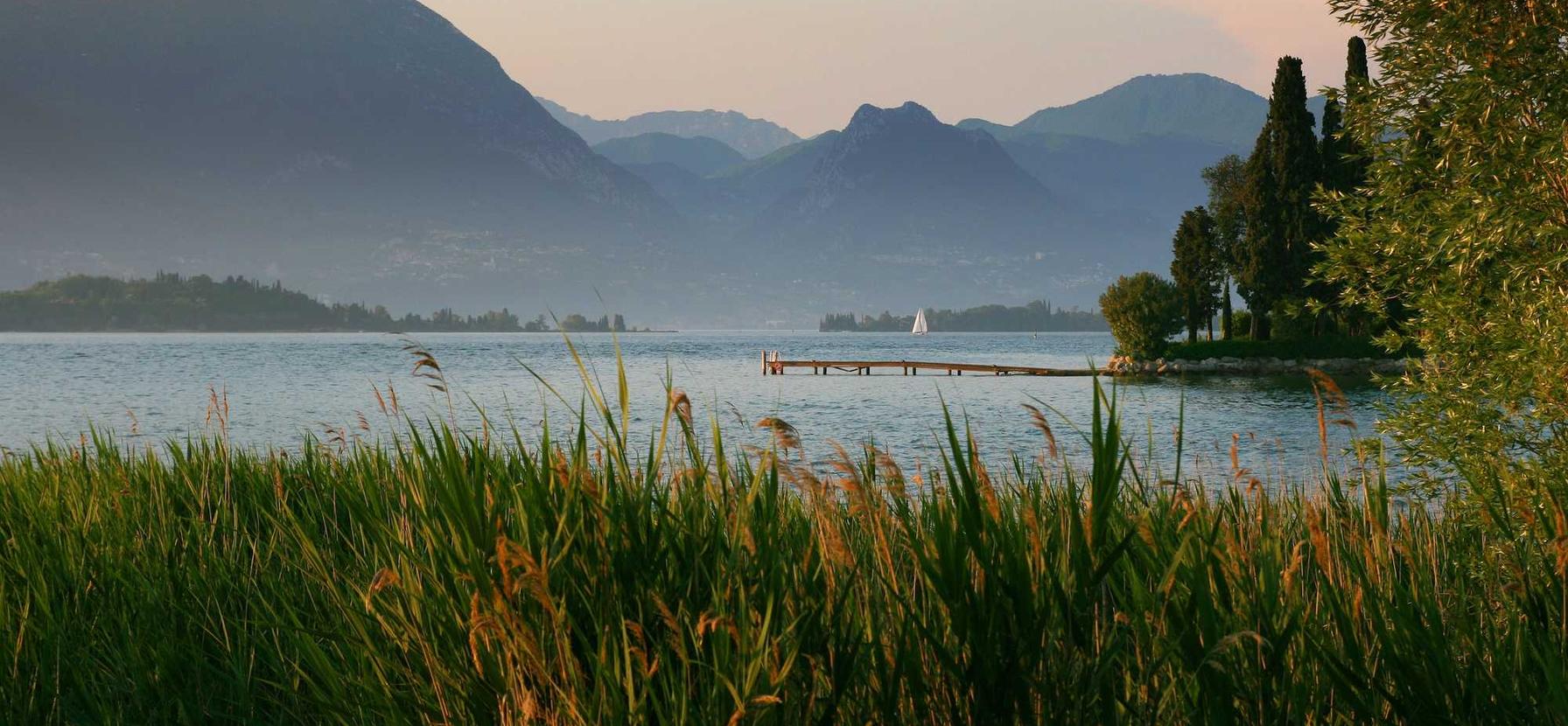 Peel百乐酸奶爆珠：天心区版权代理注册