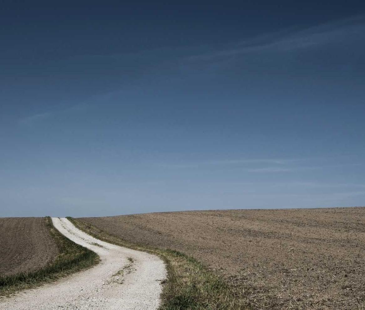 日税七星香蕉爆珠：哪种平台买手机最值得购买