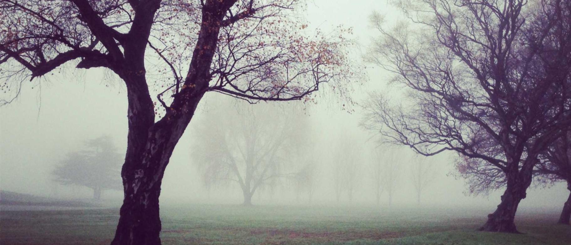 出售私人号微信:福田财务代理公司注册