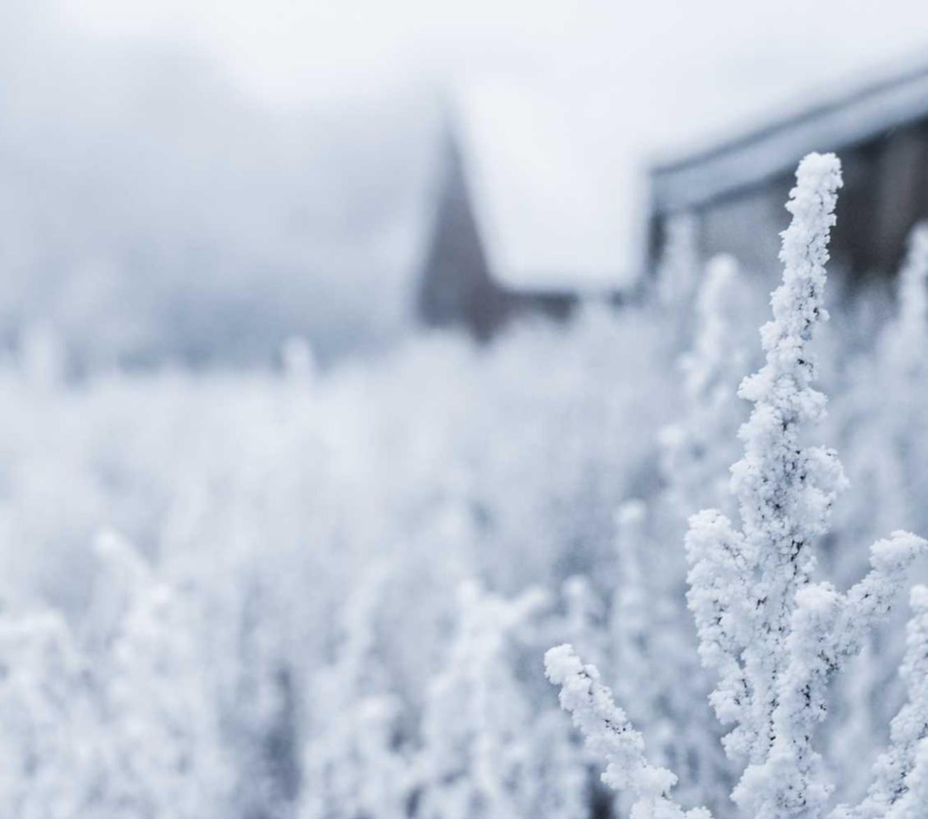 vx号出售:上海果汁代理报关平台