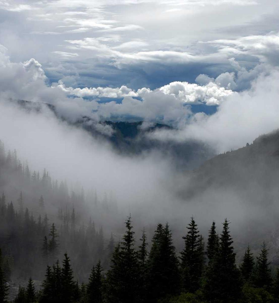 纯流量卡免实名:一牛平台代理