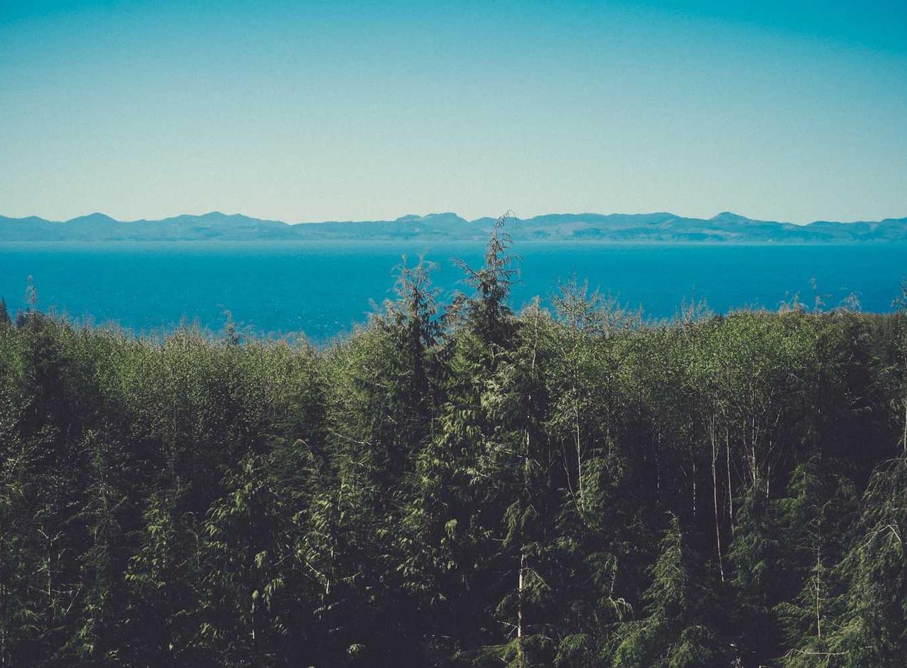 技术支持辅助在特殊场景下的应用与反制