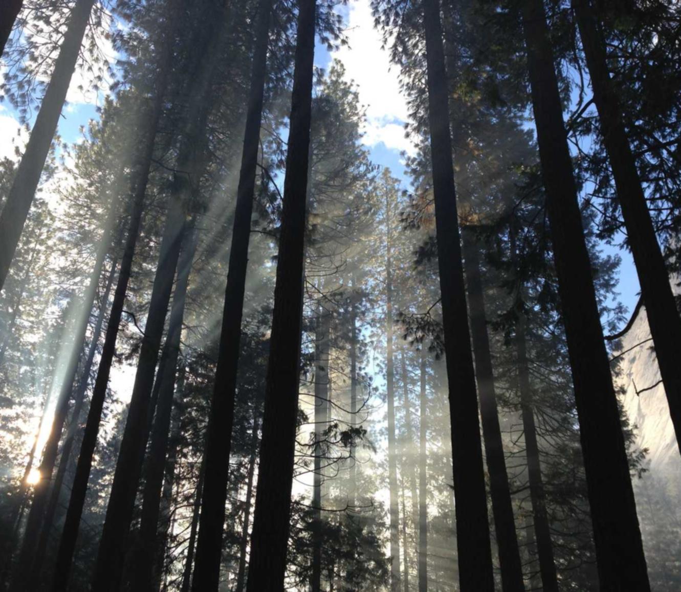 一些迷信现象背后究竟藏着什么威力？