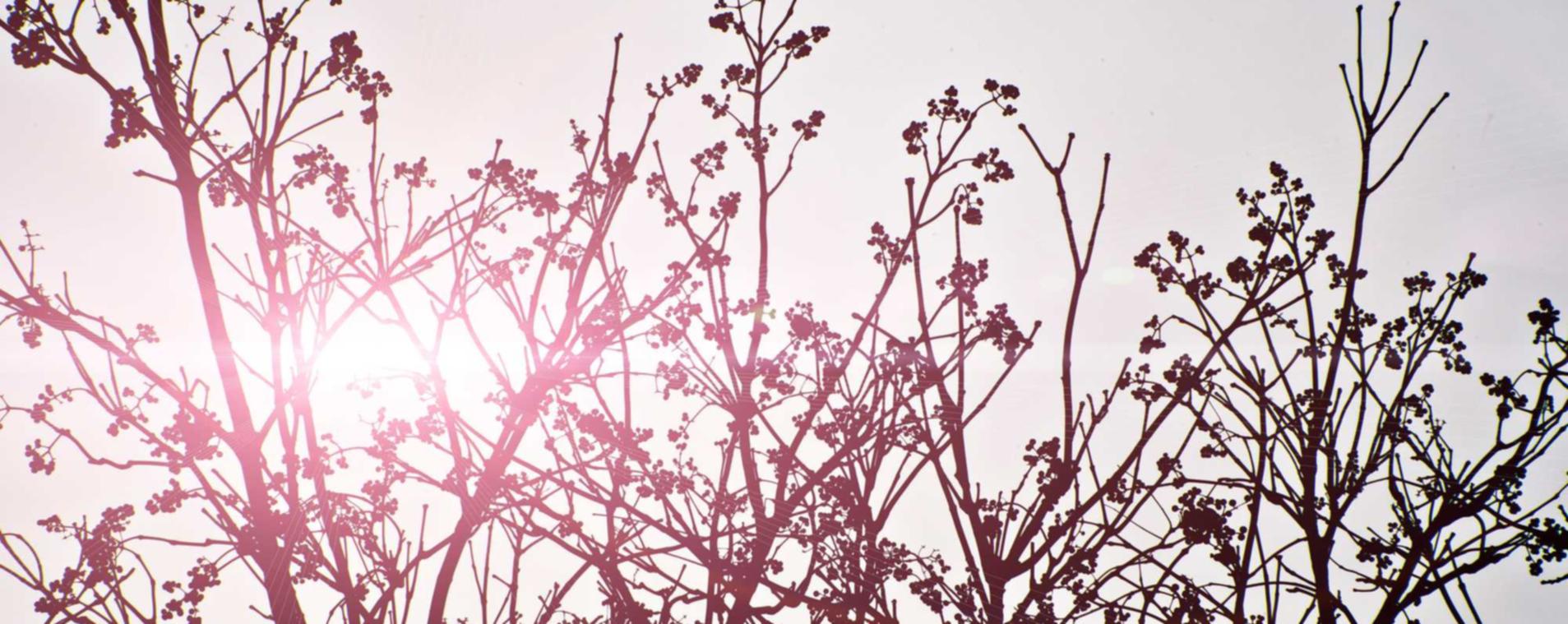 小白必知的关于技术支持辅助软件的基础知识