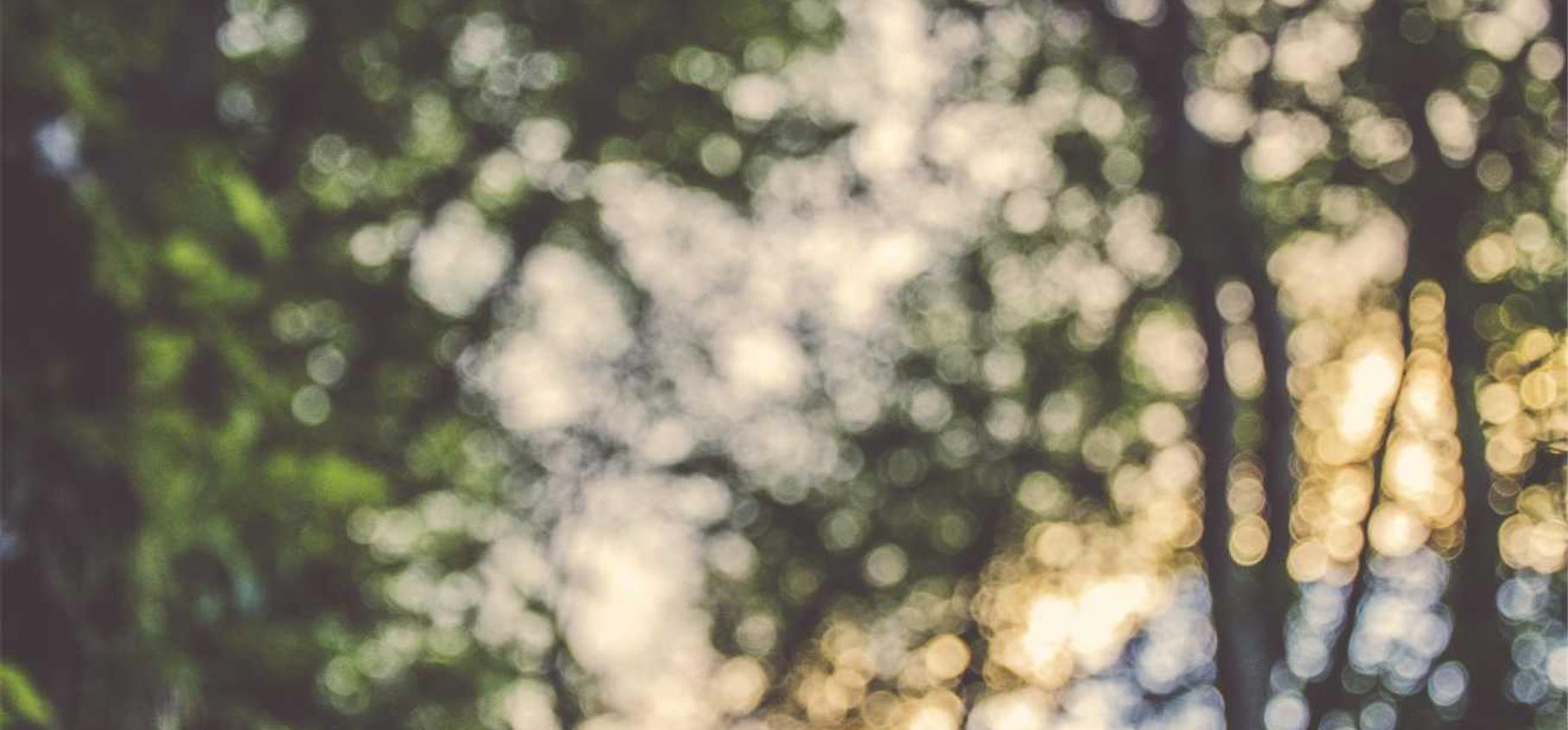 老微信号码批发：微信账号注册短信