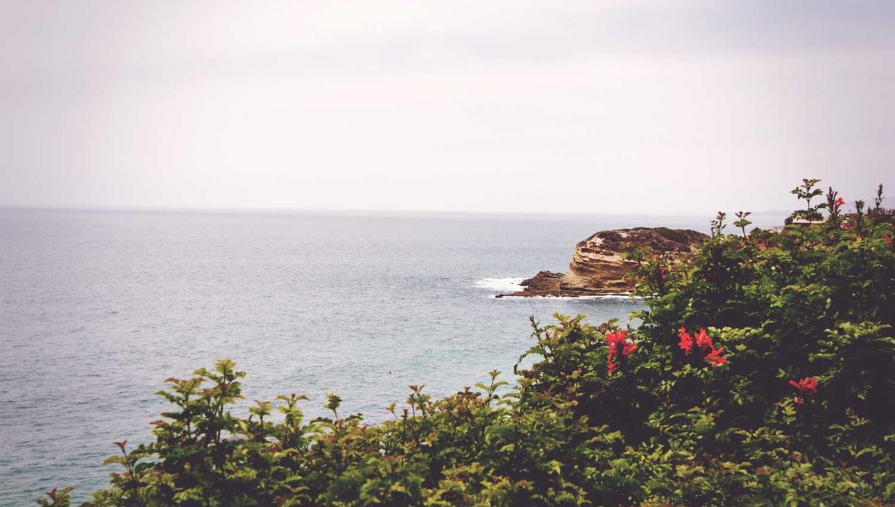 香烟对全球经济和政策的影响