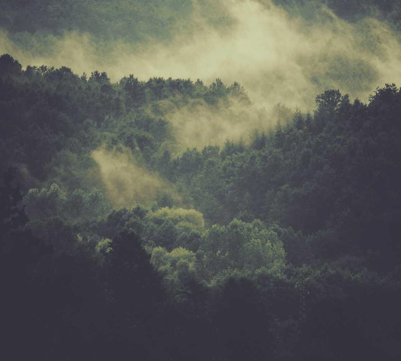 灵魂实名账号：代理公司代理注册