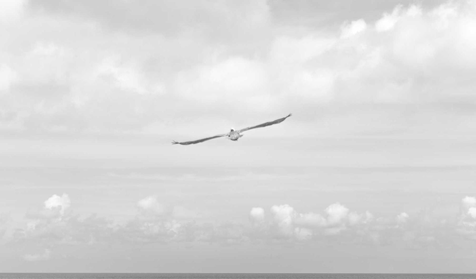 实名账号在物联网领域中的应用 