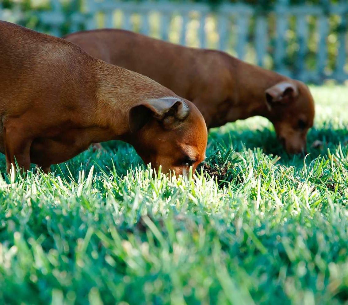 恒创科技实名账号：流量卡的客服电话，需要用的时候迅速找到