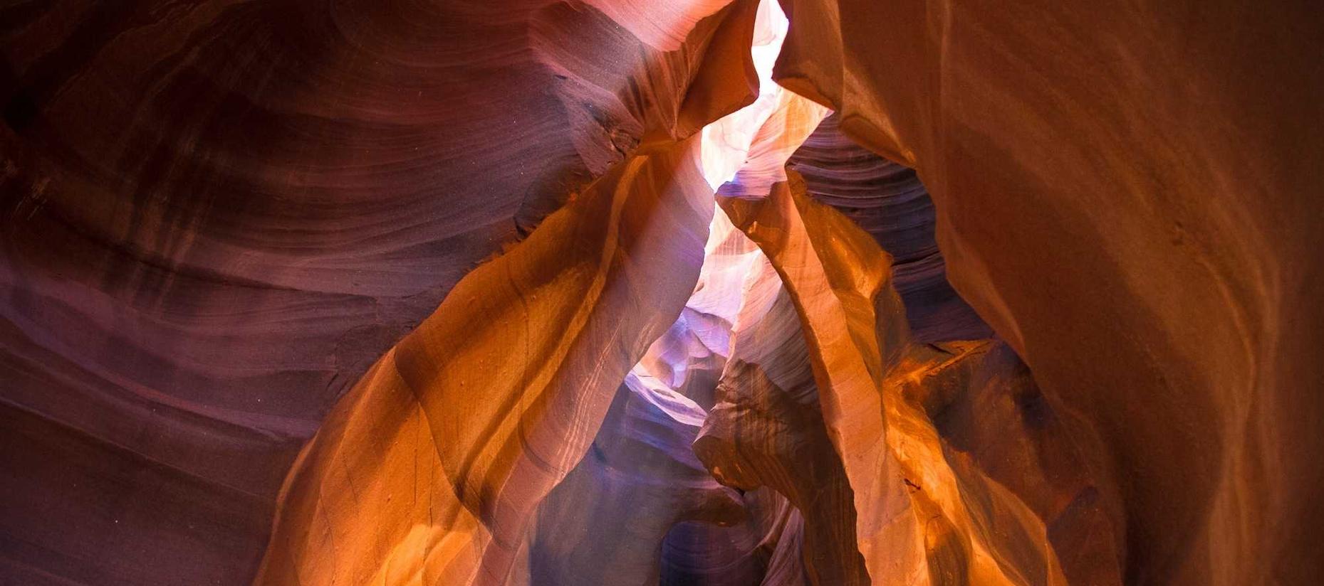 大摩建立全网营销的品牌