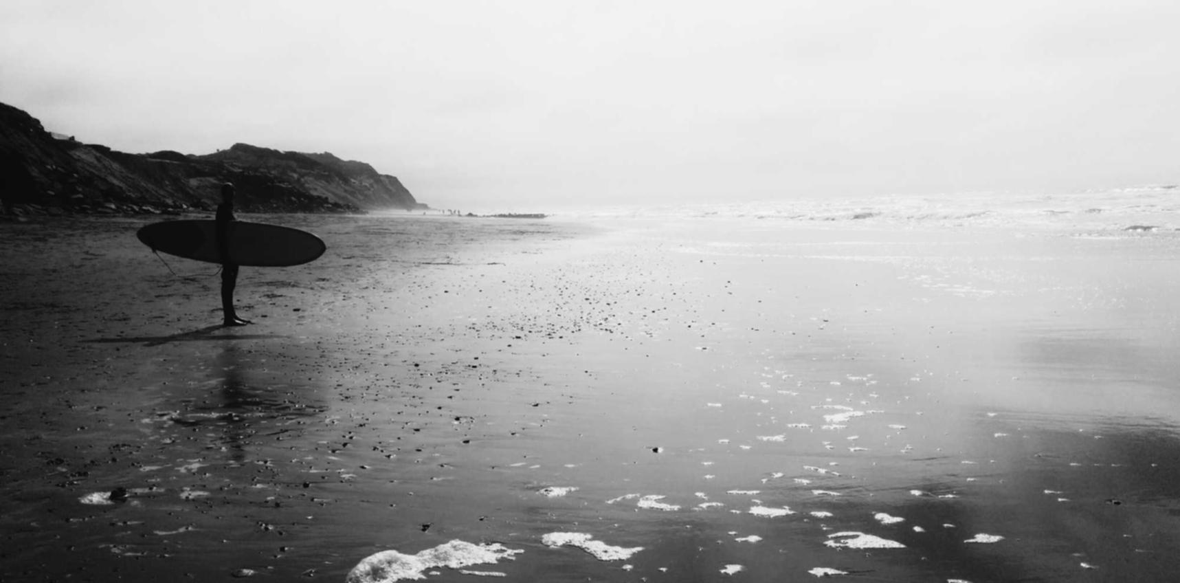 世纪佳缘实名账号：南开区企业注册商标代理