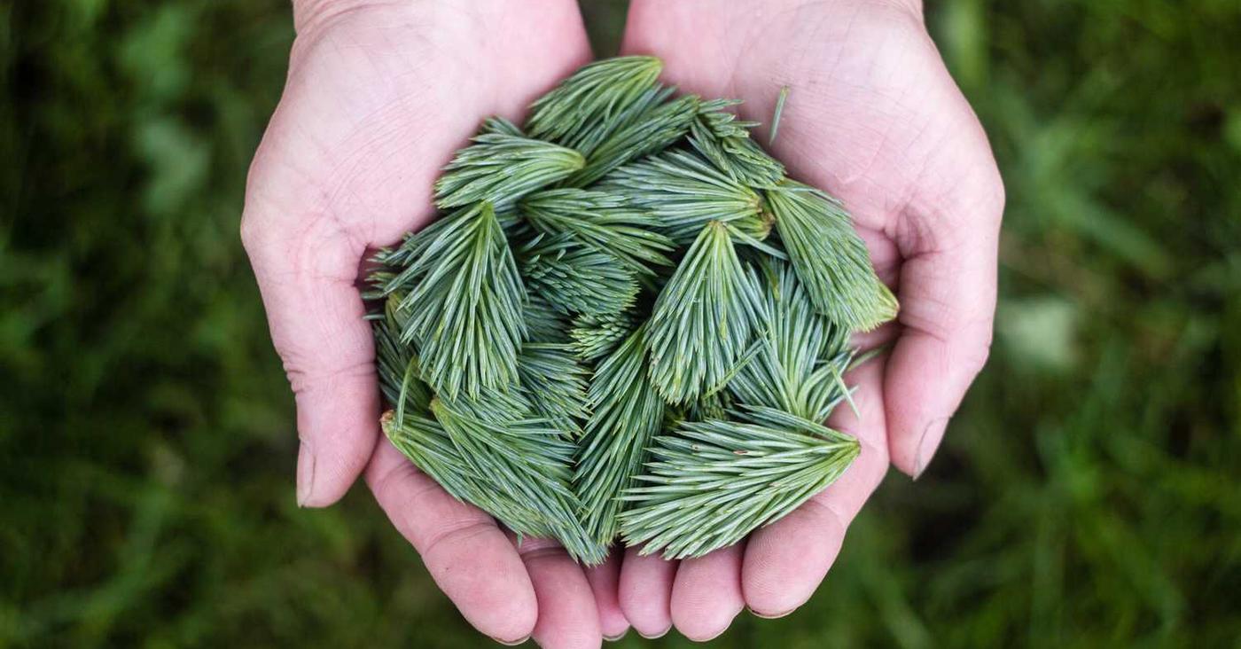 中期移动实名账号：货车处理违章平台代理