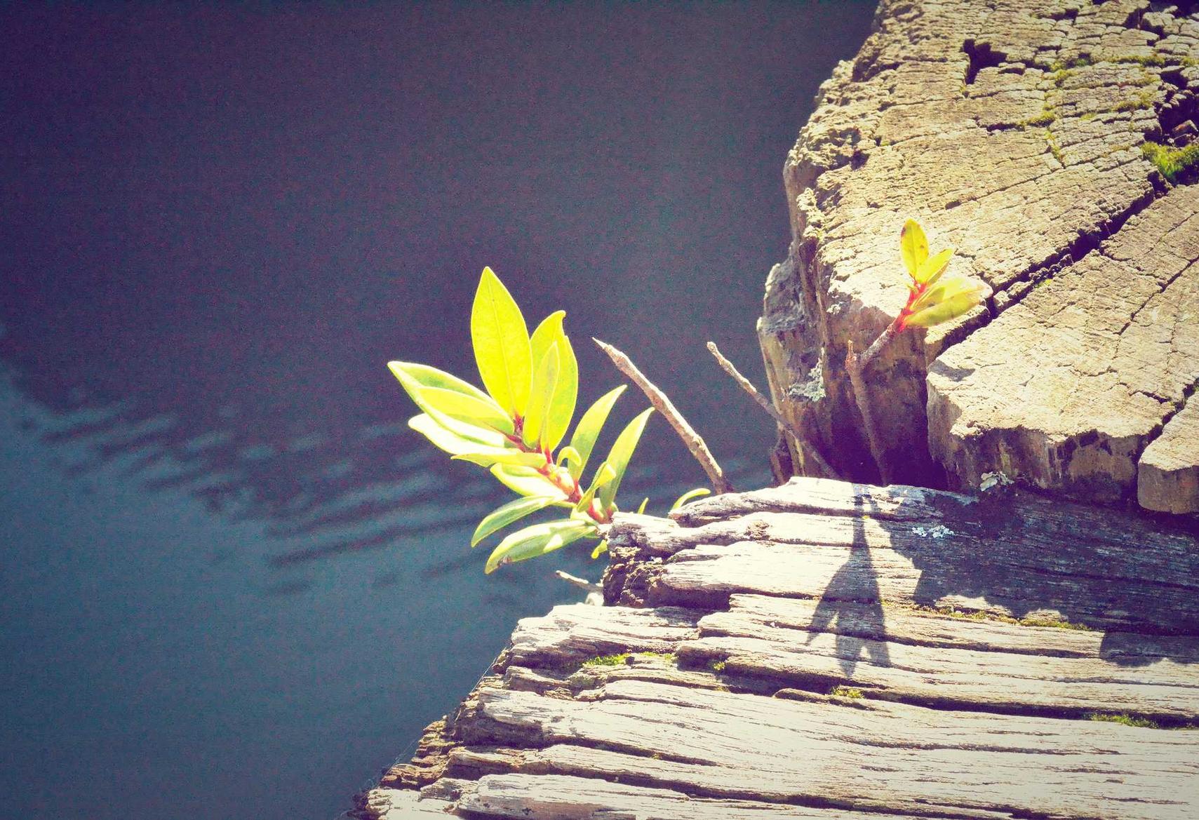 DDOS在线攻击平台|如何使用威胁情报信息保护您的网络