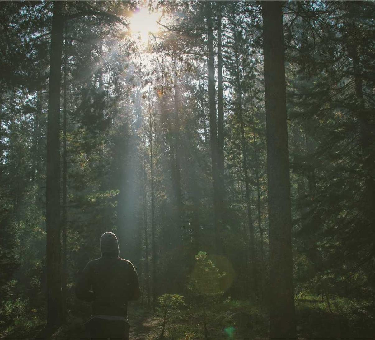 DDOS平台|如何透过黑客技术保护你的网络平台和业务