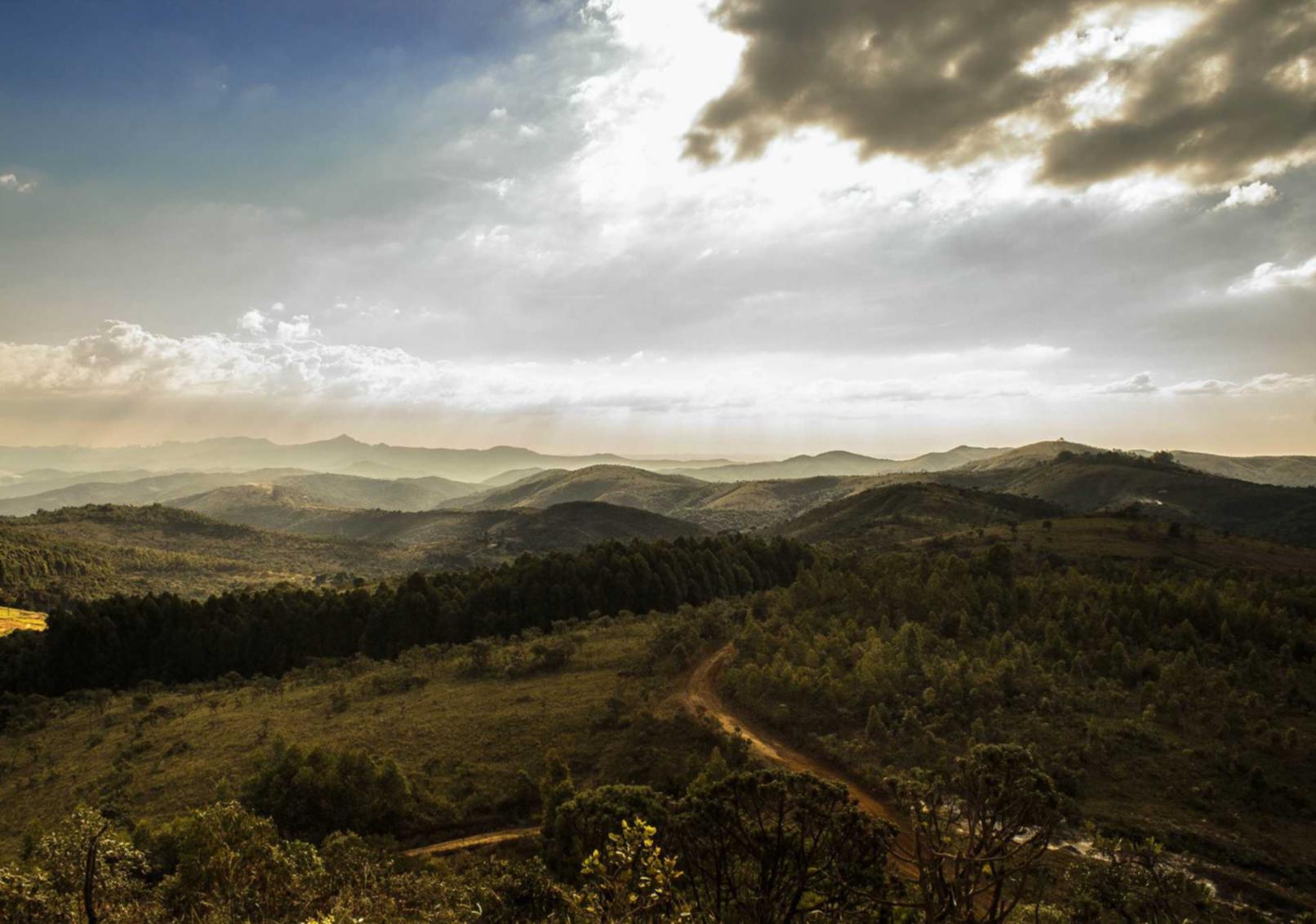 滴滴实名账号：掌上简历app详情下载教程