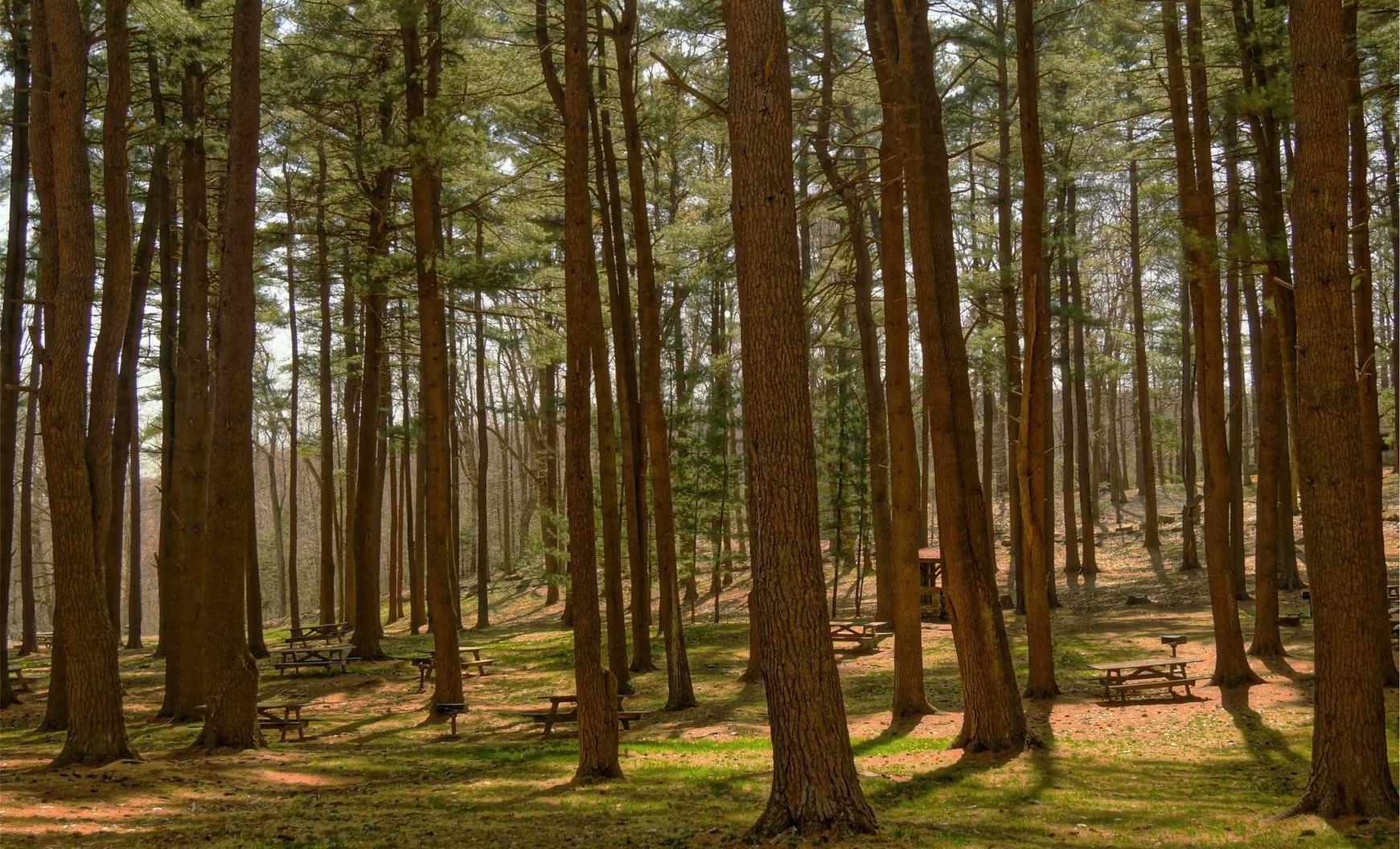太古神王2:登记注册代理管理